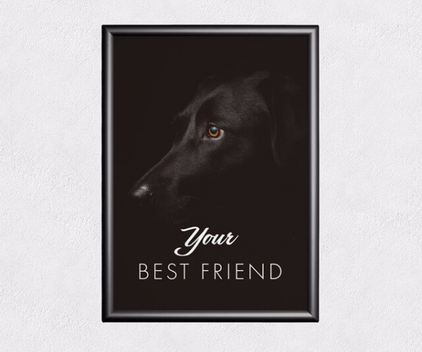 Без названия